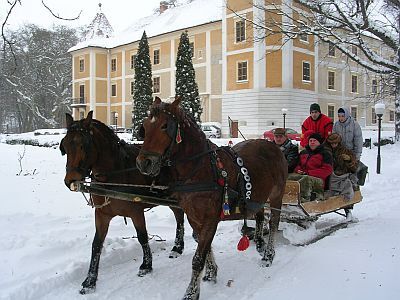 Slott Hotell Hedervary **** - ett romantiskt hotell i Ungern för dig