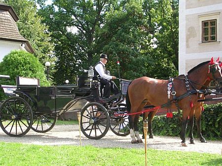 Hotel Castel Hedervary - катание на колесках в приятном саду замкового отеля Хедервари - Hungary