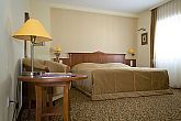 Camera Business del Wellness Hotel Aranyhomok Kecskemet