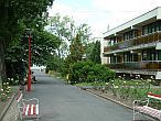 Cheap hotel in Balatonboglar - online hotel reservation Balatonboglar - Hotel Boglar