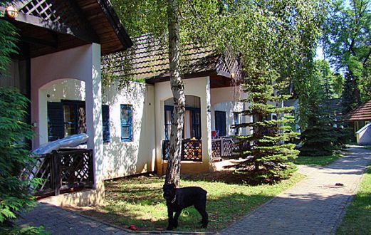 Club Tihany Bungalows - Lago Balaton - Bungalows