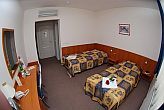 Hotel Platan Szekesfehervar - элегантный двухместный номер в 3-звездном отеле Платан в г. Секешфехервар