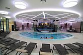 Last Minute велнес-отель в г. Эгер - Hotel Eger Park - плавательный бассейн отеля