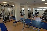 Wellness en fitnessruimte in Boedapest - Hotels in Boedapest? - Holiday Beach Budapest Wellness and Conference Hotel in een stille buurt van de Donau-oever