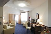 Suite in hotel central Mercure City Center