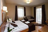 Tweepersoonskamer voor een wellnessweekend in Eger in Hotel Villa Volgy