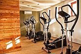 Logement - salle de fitness - Hôtel Bassiana Sárvár 