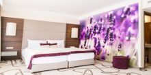 Zapach lawendy w Hotel Ambient Aroma Spa