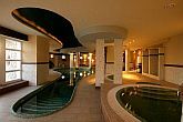 Alberghi wellness a Pecs - Hotel Kikelet - Wellness Hotel Kikelet - piscine