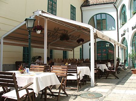 Hotel Arany Griff Papa - terrace - cheap hotels in Papa 