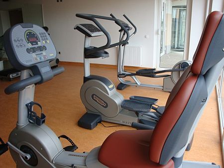 Sala de fitness en Zsambek, en el Hotel Szepia Bio Art - Hotel de 4 estrellas en Hungría