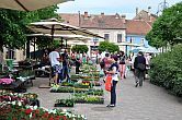 Hotel Irottko Koszeg - goedkope accommodatie in Koszeg, Hongarije - terras van het café 