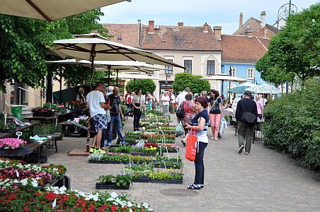 Hotel Irottko - cazare ieftină în Koszeg - terasă pentru cafea