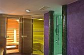 La sauna del Hotel Amira en la sección de bienestar - Hotel bienestar en Heviz