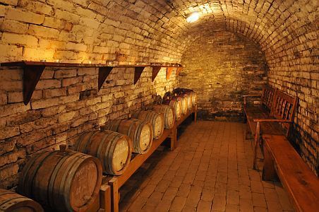 Hotel Castel Fried în Simontornya - pivniţă cu vinuri de calitate