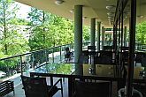 Wellness Hotel Gyula**** terras van restaurant en café