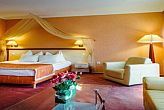 Elegant wellnesshotell i Cserkeszolo 4* Aqua-Spa Wellness Hotel