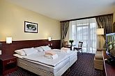 Hotel Kapitany, Hotel Wellness şi Conferinţe - cameră dublă - weekend romantic la un preţ accesibil