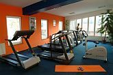 Fitnessruimte in het 3-sterren Hotel Lido Boedapest aan de Romeinse oever (Romai part) vlakbij de voormalige Romeinse stad Aquincum