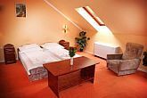 Mooie ruime kamer in het Pension Svajci Lak in Nyiregyhaza, Hongarije met uitzicht over het Plezierbad Aqusrius