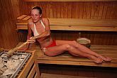 Sauna finnois de l