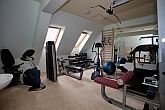 Sala fitness all