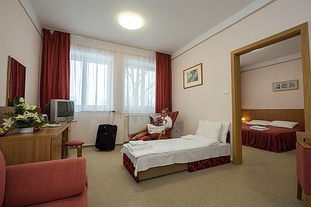 Alfold Hotell Gyongye*** Oroshaza - halvpansion paket