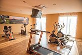 Vulkan Hotel 4* sala de fitness en régimen de media pensión