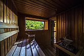 Patak Park Hotel Visegrad - sauna