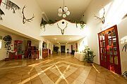 Hotel in Kecskemet close to the Mercedes-Benz factory - Juniperus Park Hotel