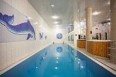  Szindbád Wellness Hotel のスペシャルバラトンウェルネス