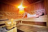 Sauna finlandese nel Centro di Psoriasis a Harkany