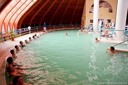 Hôtel Harkany avec de l'eau médicinale utilisée pour les traitements