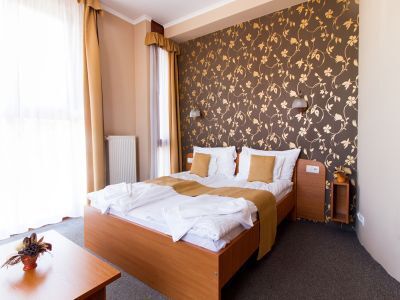 Aqua Hotel Kistelek - Cameră ieftină de hotel cu demipensiune și intrare la băile termale