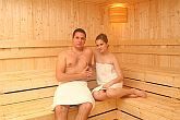 Termal Hotel Liget *** Erd, obok Budapesztu - Sauna fińska