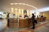 Hotell Mercure Buda i Budapest - Receptionen