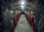 Hotel Flora 3* winecellar in Eger - quality wines from the city