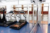 Fitnessruimte in het Hotel Helikon in Keszthely bij het Balatonmeer met uitstekende wellnessfaciliteiten