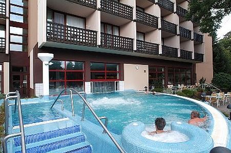 Thermal Hotel Sarvar  - outdoor thermal pool - spa thermal hotel in Sarvar